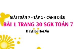 Giải bài 1 trang 30 Toán 7 Tập 1 SGK Cánh Diều